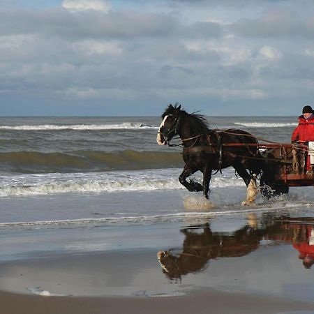 شقة Centraal Aan Zee إغموند آن زي المظهر الخارجي الصورة