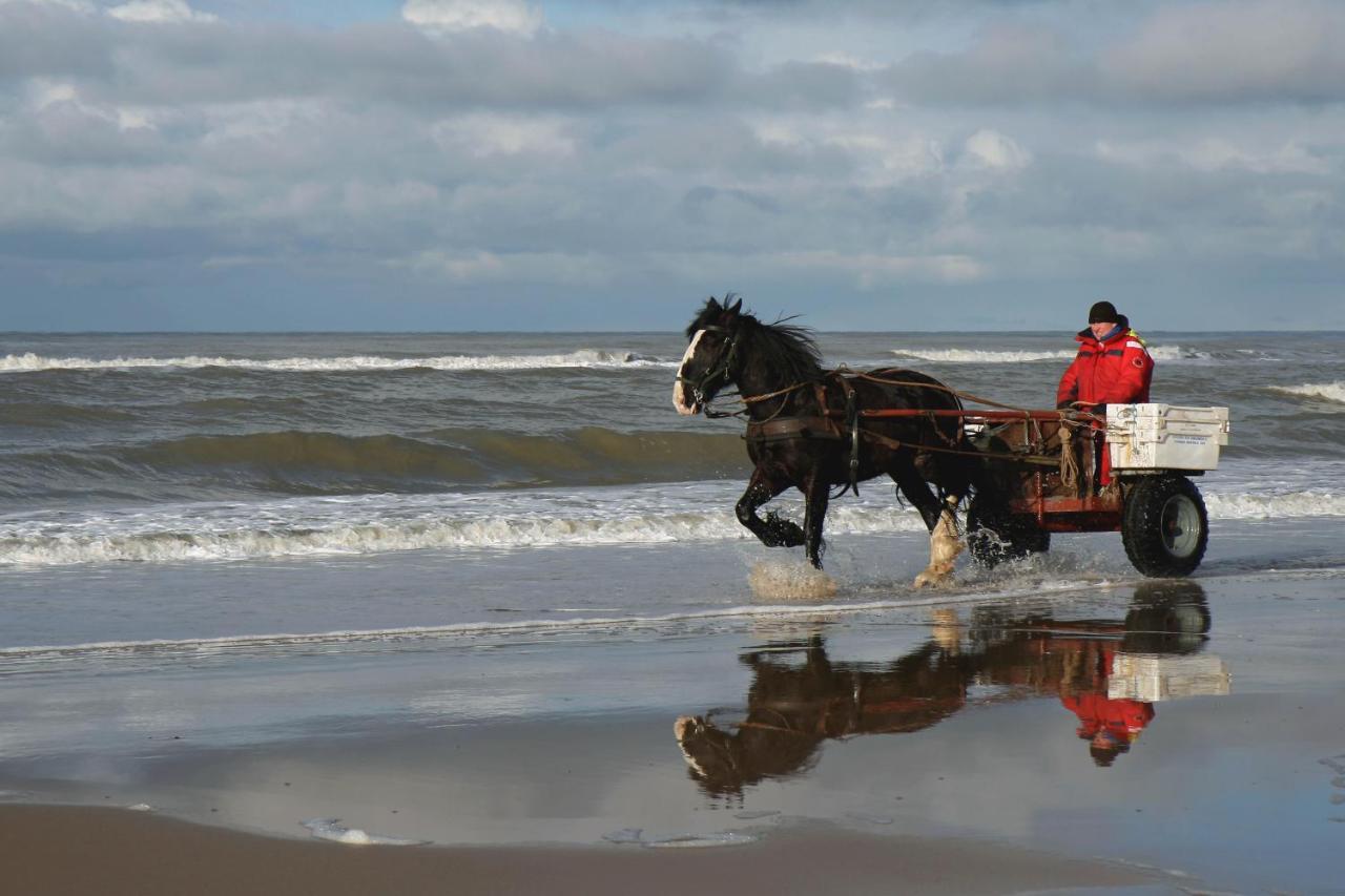 شقة Centraal Aan Zee إغموند آن زي المظهر الخارجي الصورة